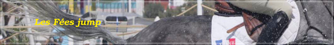 Les Fées jump